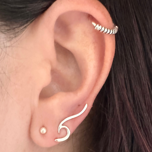 Sterling Silver Waves Earrings